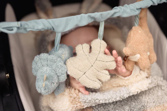 Jollein riputatav mänguasi vankrile Roarsome